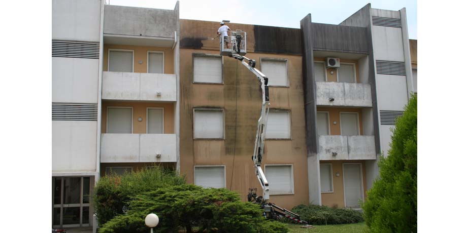 d_ragno_giardino_lavoro.jpg